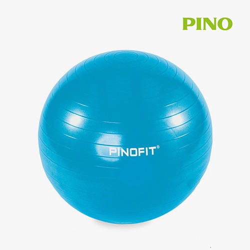 부스트 짐볼 Gymnastikball antiburst - 블루(65cm)